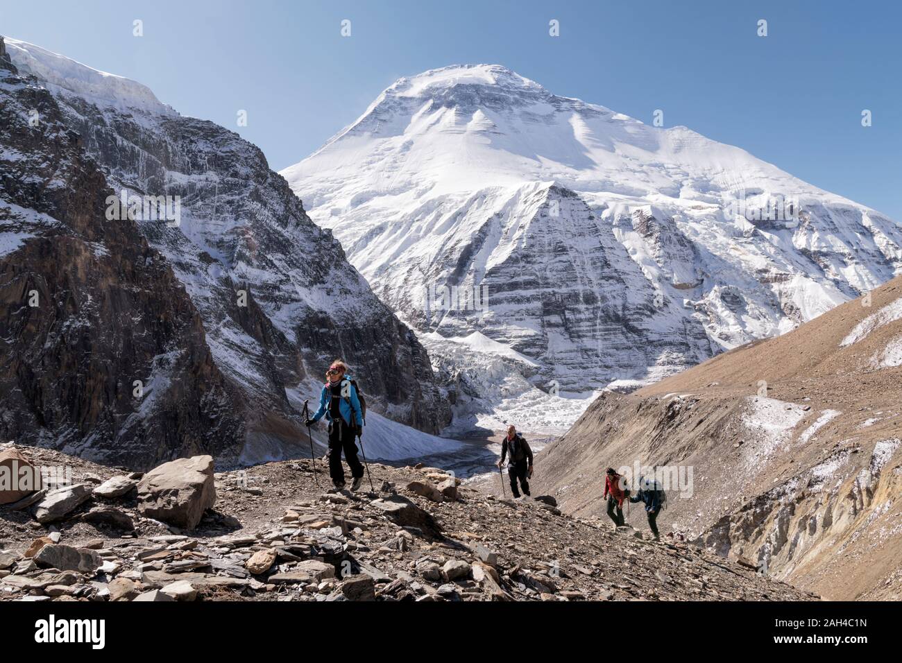 Trekking Gruppe bei Chonbarden Gletscher, Dhaulagiri 1, Dhaulagiri Circuit Trekking, Himalaya, Nepal Stockfoto