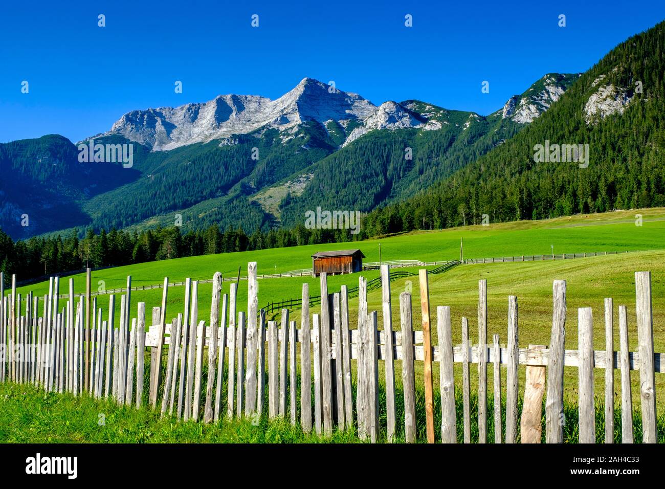 Österreich, Tirol, Steinberg am Rofan, einfache Zaun umliegende Landschaft Weide mit guffert Berg im Hintergrund Stockfoto