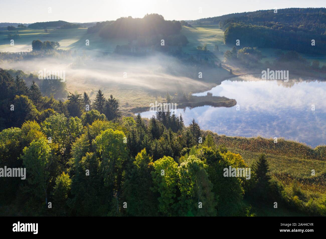 Deutschland, Bayern, Oberbayern, toelzer Land, Harmating, Blick auf Teich in der Landschaft im Morgenlicht und Nebel Stockfoto
