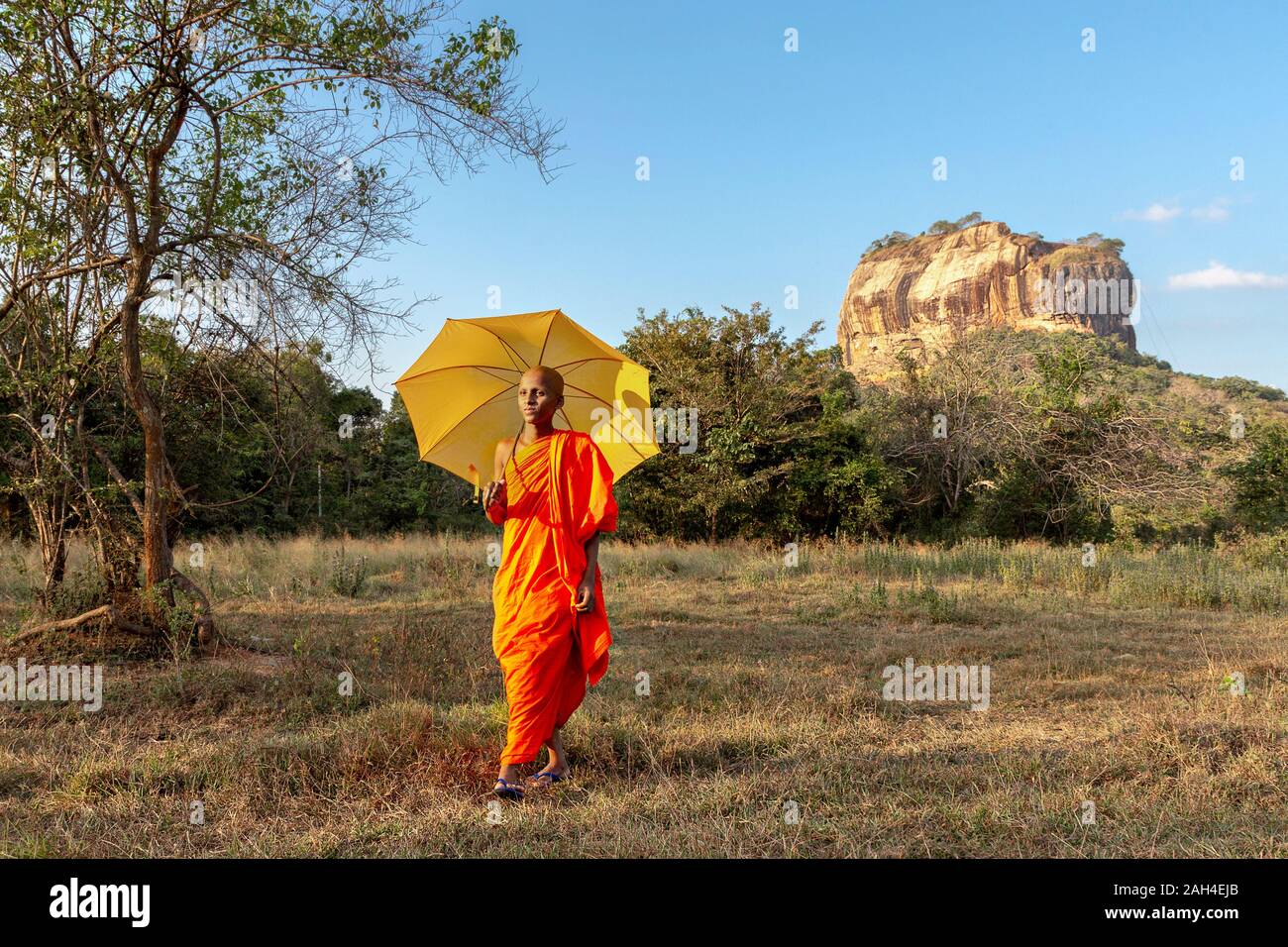 Mönch mit seinem Regenschirm mit den Sigiriya Felsen im Hintergrund in Sri Lanka Stockfoto