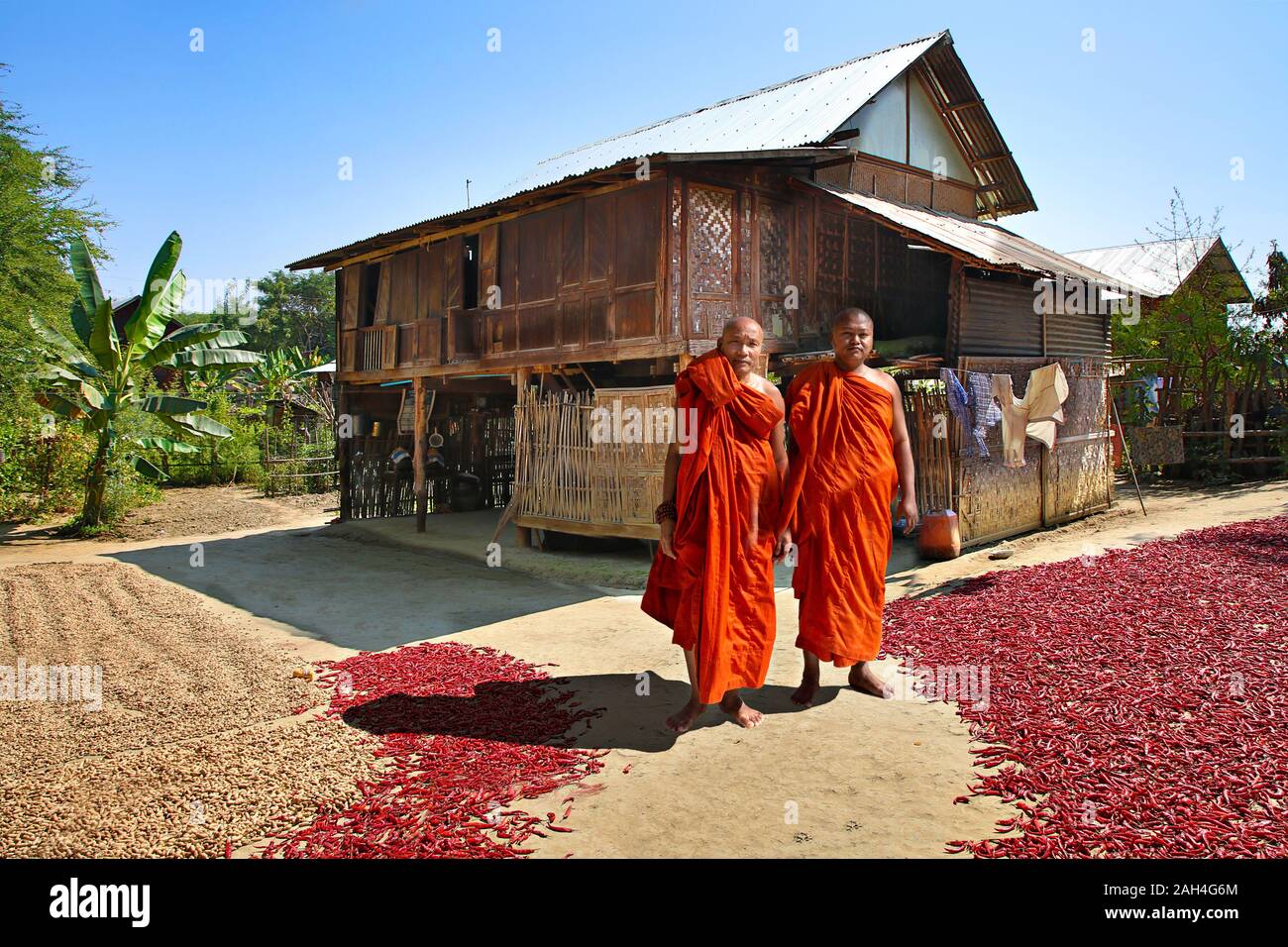 Zwei Mönche vor einem Haus im Dorf mit Erdnüssen und Trocknen Paprika im Hinterhof, in Bagan, Myanmar Stockfoto