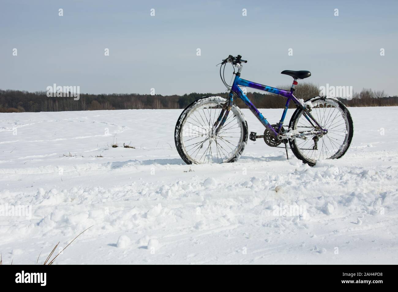 Bunte Fahrrad auf einem schneebedeckten Feld, Wintersport Stockfoto