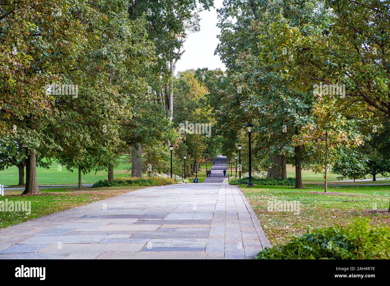 Magill, Swarthmore College, Swarthmore, Pennsylvania, USA Stockfoto