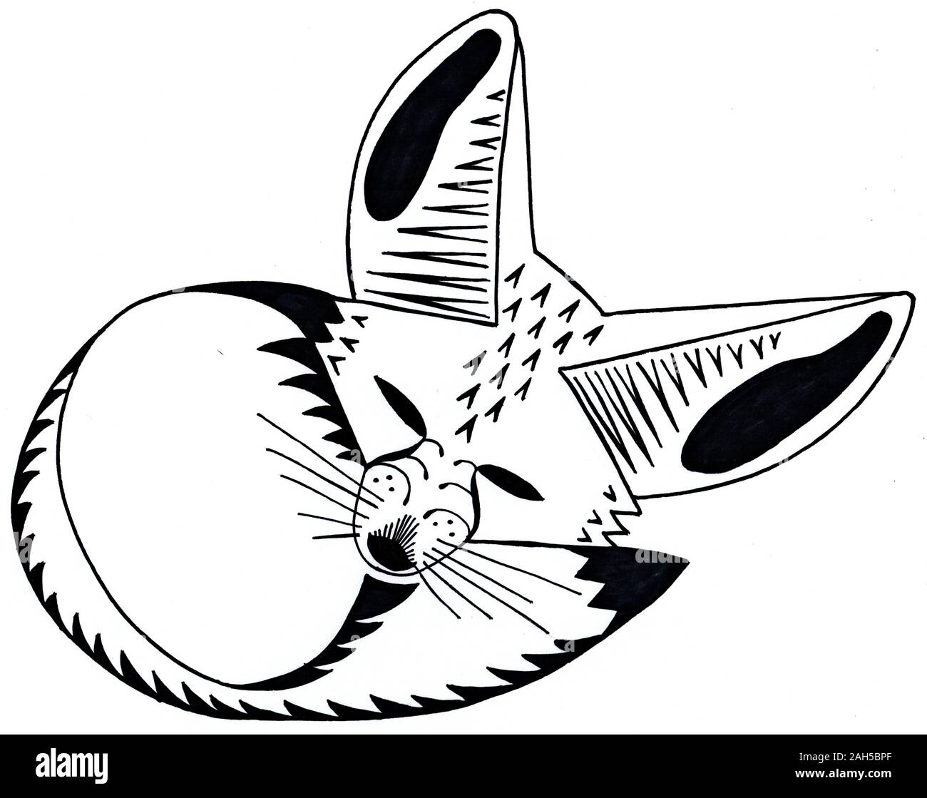 Schlafen Fennec Fox. Geist Tier. Schwarze und weiße Abbildung. Silhouette mit Mustern Stockfoto