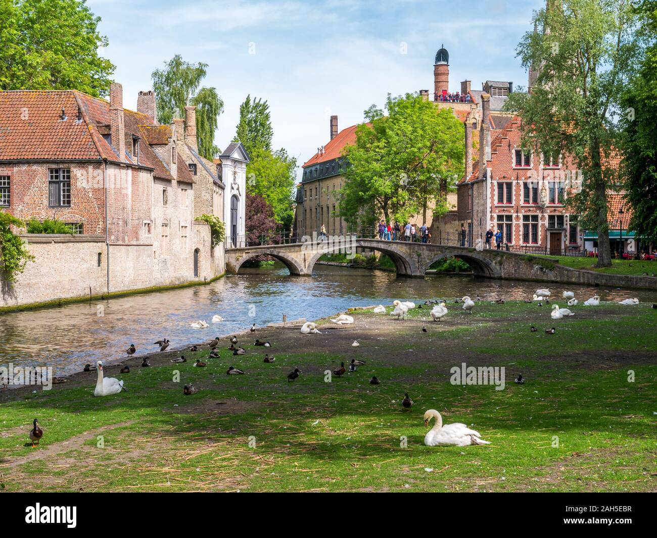 Wijngaard Brücke über den Kanal und die Vögel im Park von Wijngaardplein in der Altstadt von Brügge, Belgien. Stockfoto