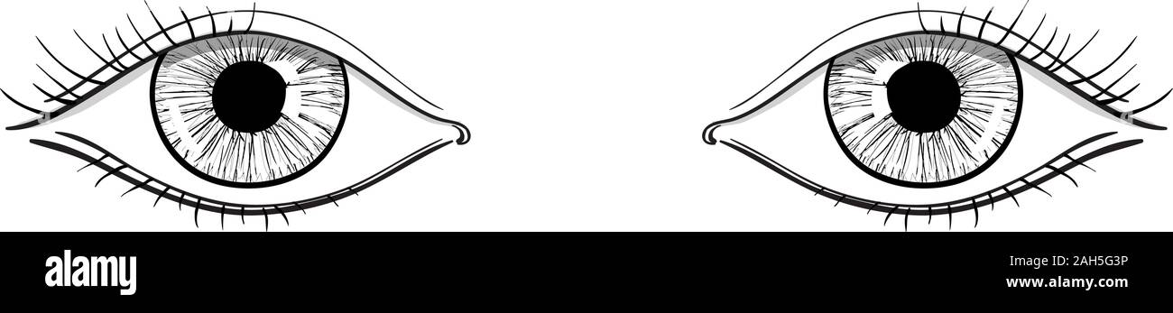 Menschliche womans Augen. Hand gezeichnete Skizze. Vector Illustration auf weißem Hintergrund. Stock Vektor