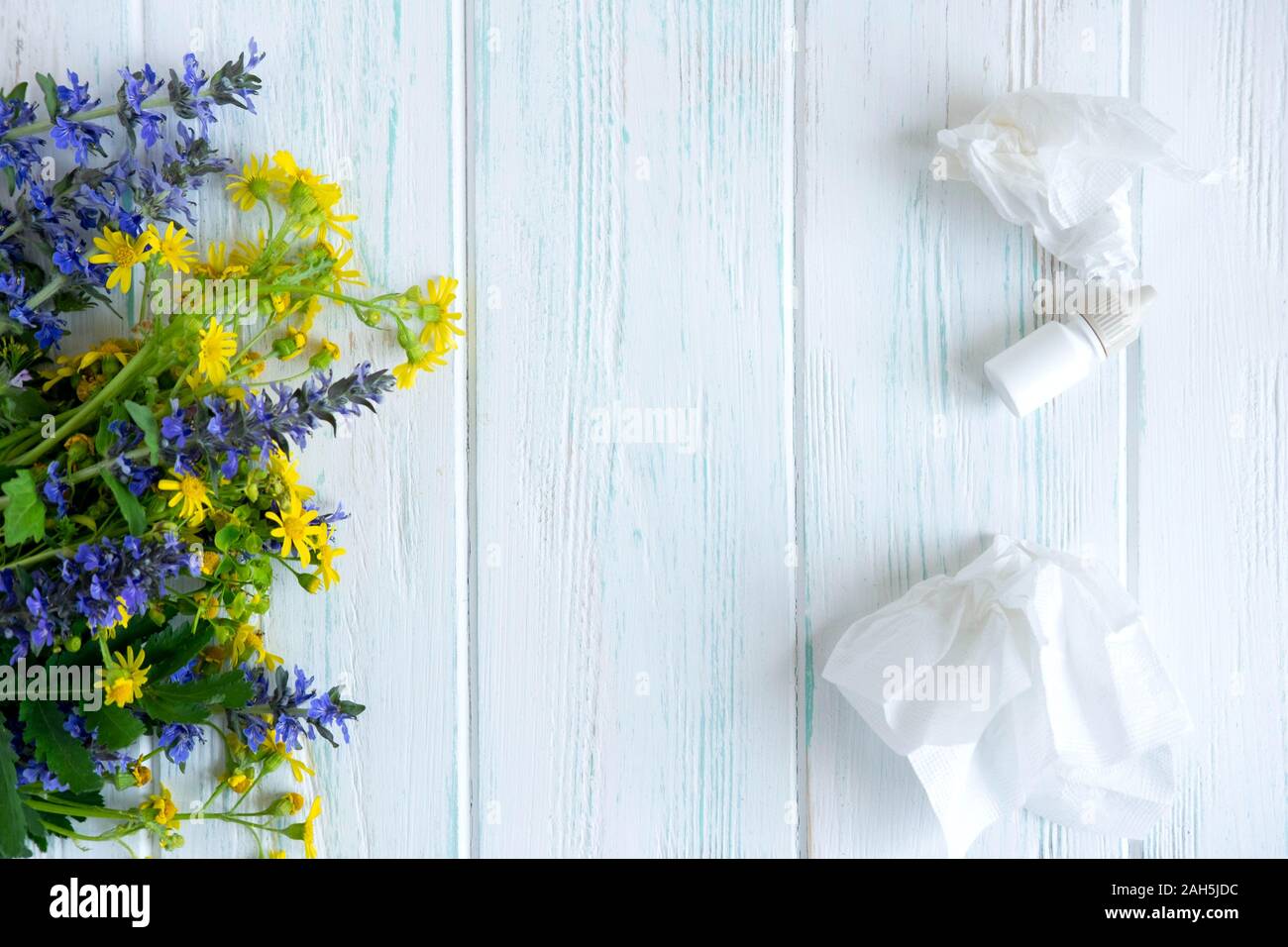 Konzeptionelle Foto mit Wildblumen, Nasentropfen und Schals. Allergie. Saisonale Allergien Blütenpollen Stockfoto