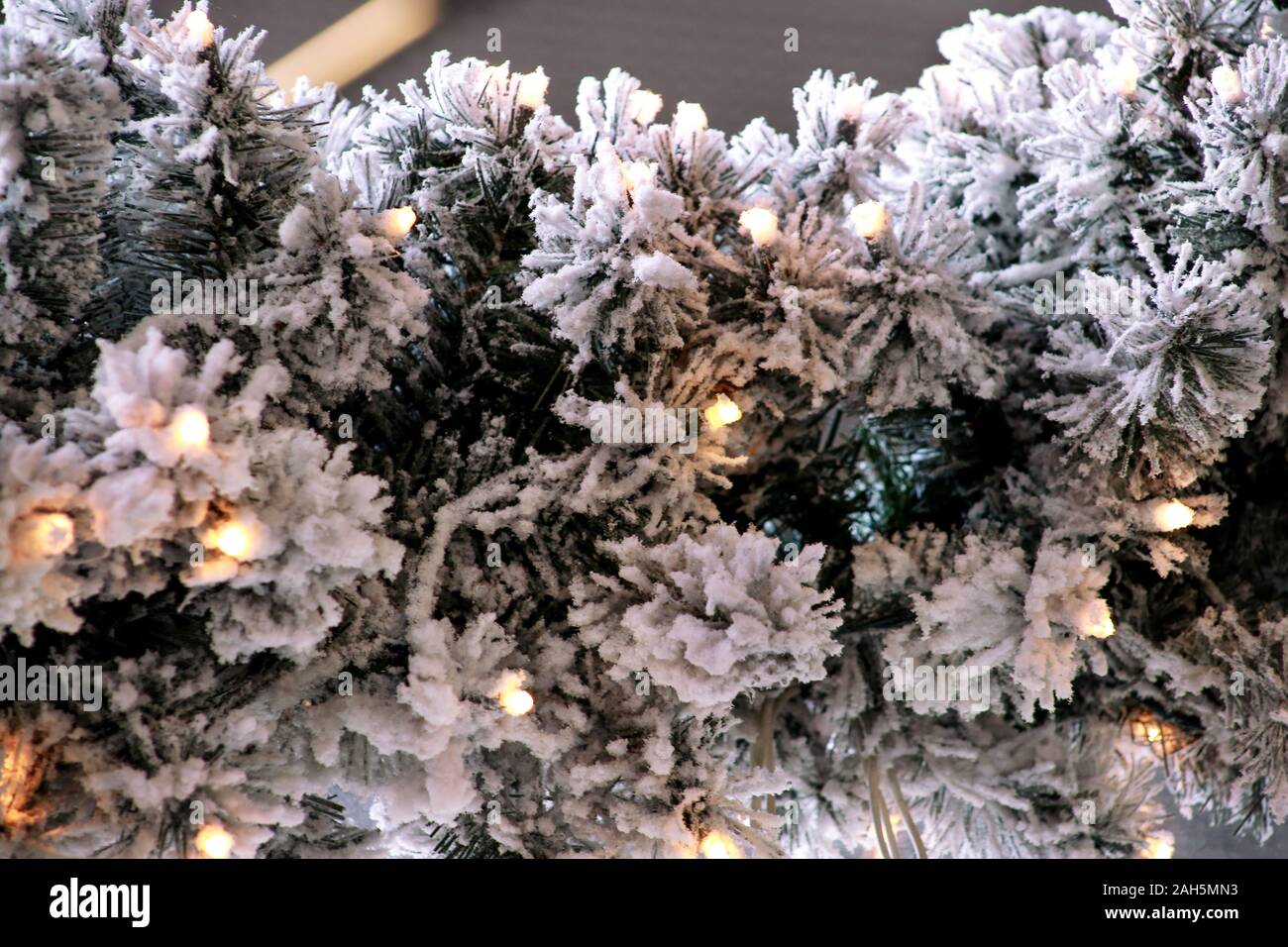 Traditionelle Weihnachten blinkende Lichter auf grüne Zweige Baum der Kiefer mit Schnee im Winter abgedeckt. Tannenbaum Äste mit string Reis Glühlampen. Stockfoto