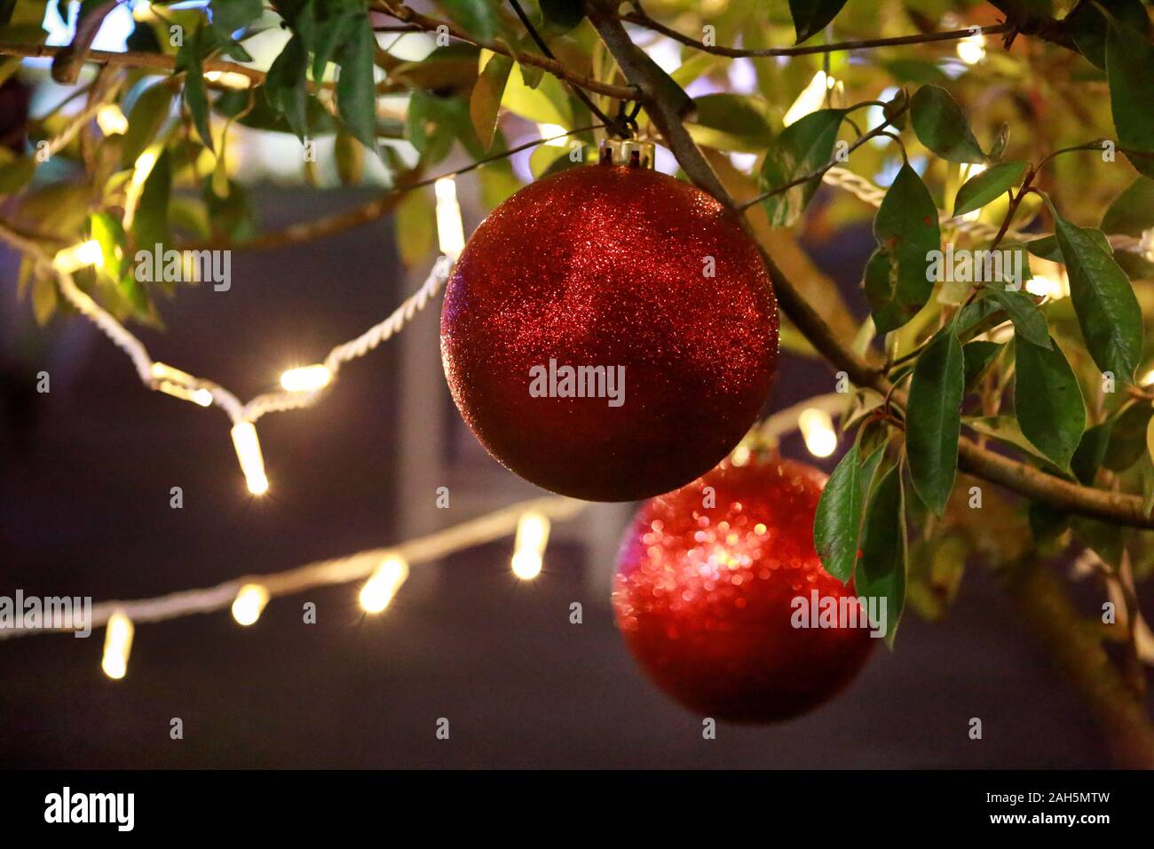 Traditionell dekorierte Christbaumkugeln, blinkende Lichter hängt an grüne Zweige Weihnachtsbaum. Runde Ornamente, helle rote Kugeln mit string Reis Glühlampen. Stockfoto