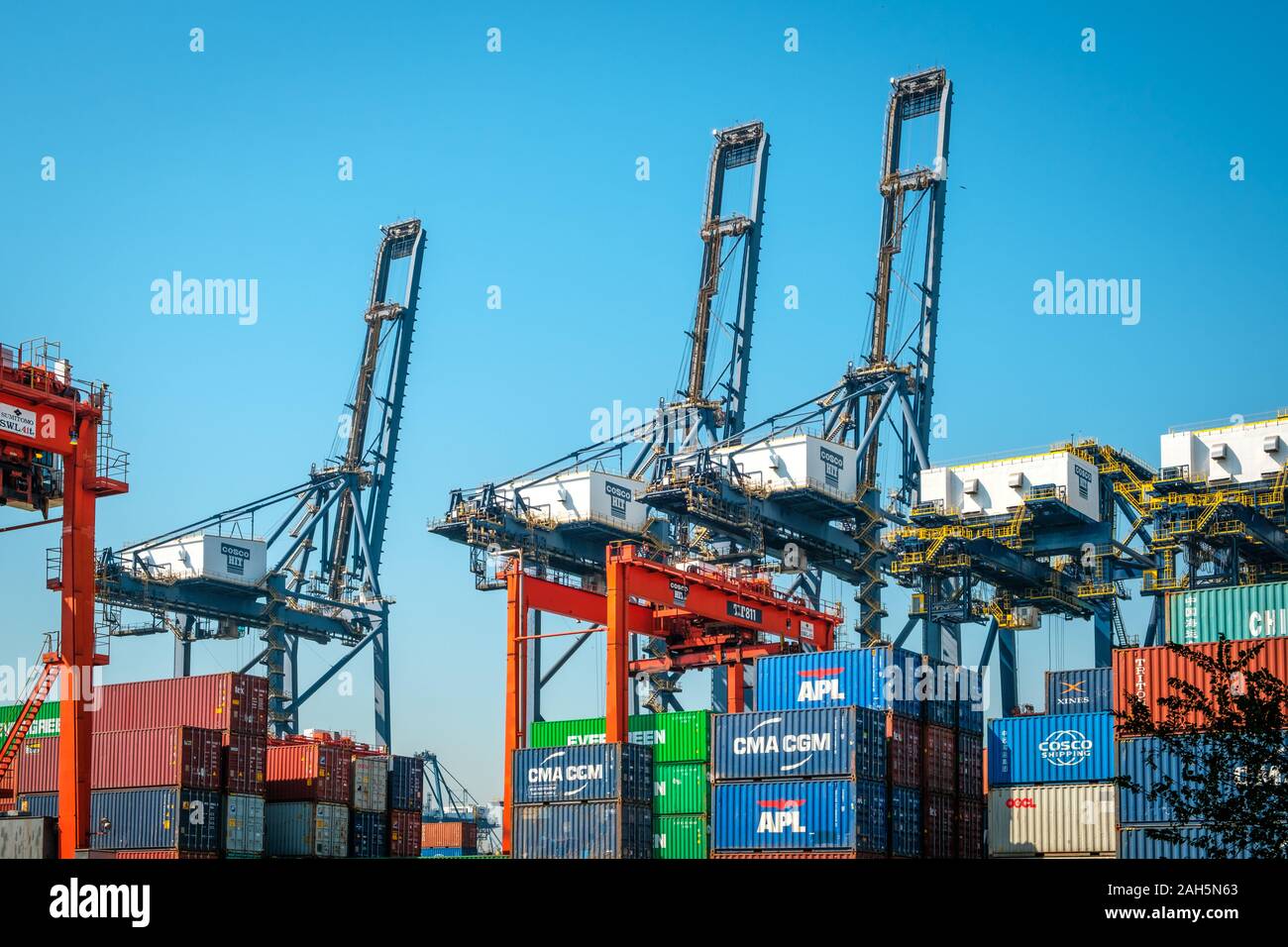 HongKong, China - November 2019: Kräne laden Shipping Container auf Fracht Hafen Logistik Zentrum in Hongkong Stockfoto