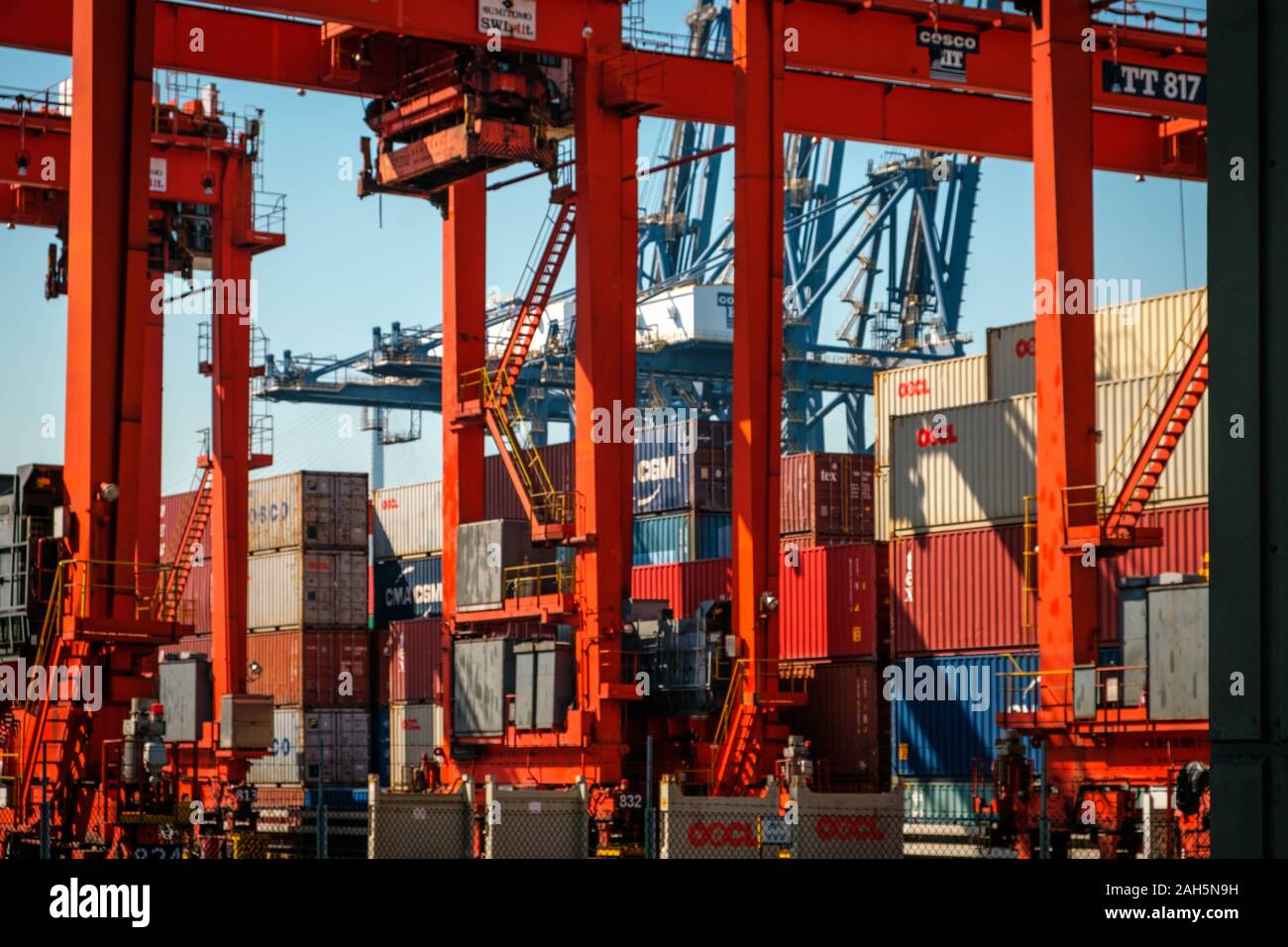 HongKong, China - November 2019: Kräne laden Shipping Container auf Fracht Hafen Logistik Zentrum in Hongkong Stockfoto