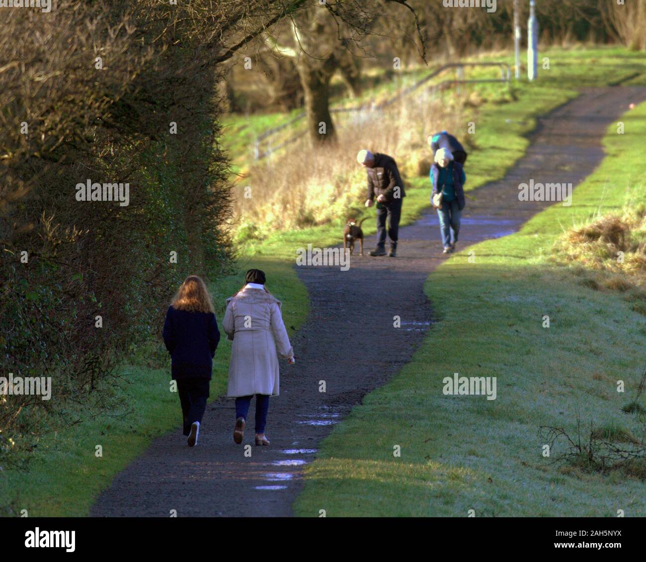 Glasgow, Schottland, Großbritannien 25 tht Dezember, 2019. UK Wetter. Sonnige Weihnachten auf dem Kanal wie die Einheimischen aus Mittagessen über im Nordwesten der Stadt ging. Gerard Fähre / alamy Leben Nachrichten Stockfoto