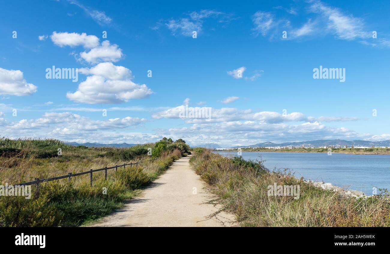 Landschaft, natürliche Bereiche des Llobregat Delta, Pfad, El Prat de Llobregat, Provinz Barcelona, Katalonien, Spanien. Stockfoto