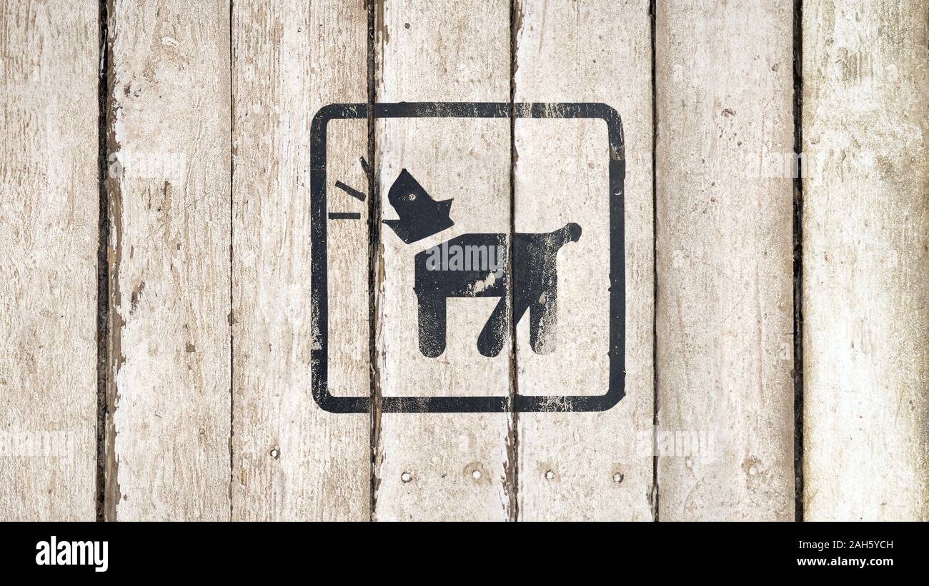 Barking Dog Silhouette in der Farbe schwarz. Barking Dog Zeichen auf weißem Holz- Hintergrund. Guard Dog inside Symbol. Hund bellt Symbol. Taste Bild auf Holz- Hintergrund. Kopieren Sie Platz. Teil einer Serie Stockfoto