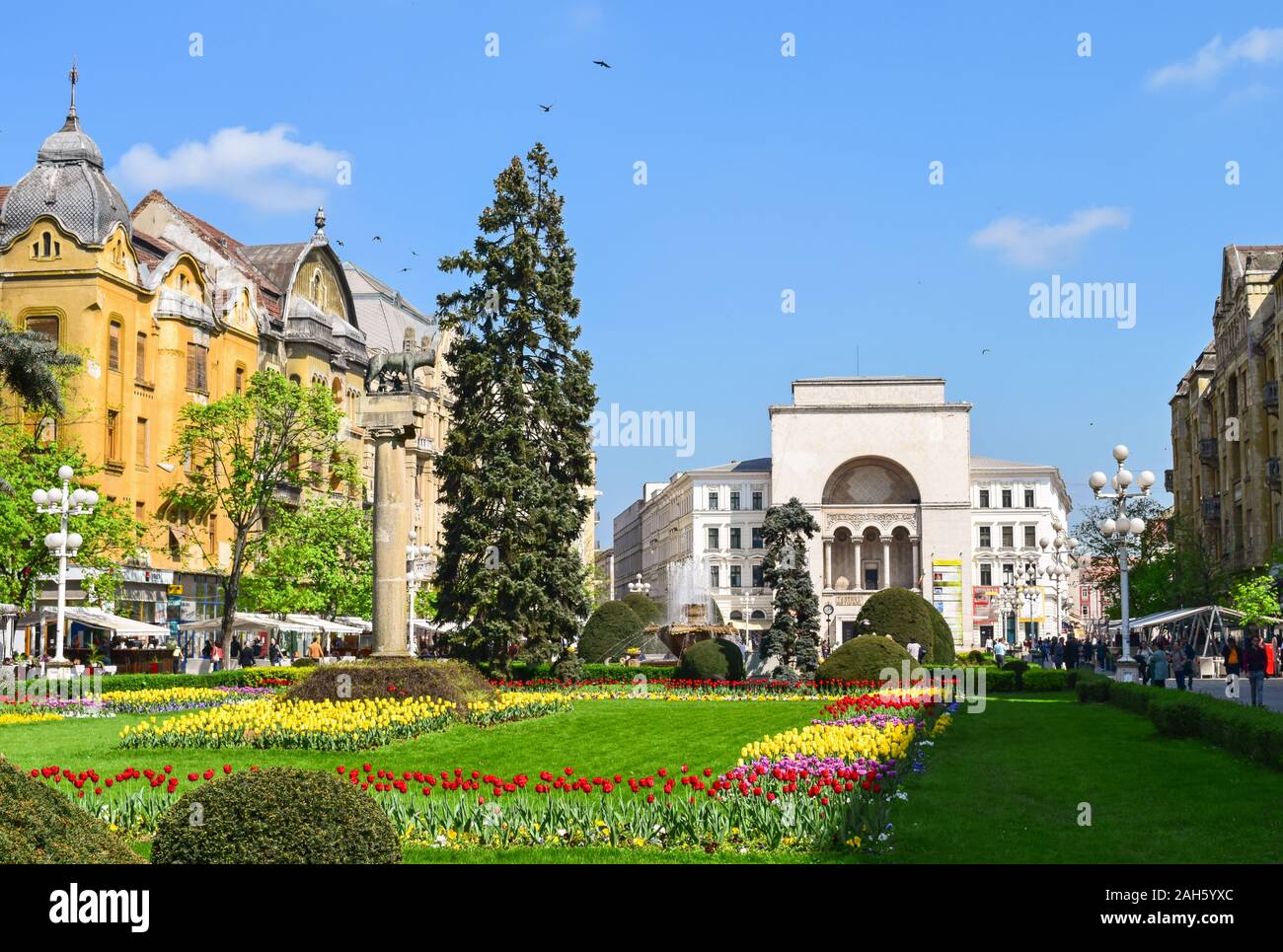 Stadt Timisoara Piata Victoriei im Frühjahr Stockfoto