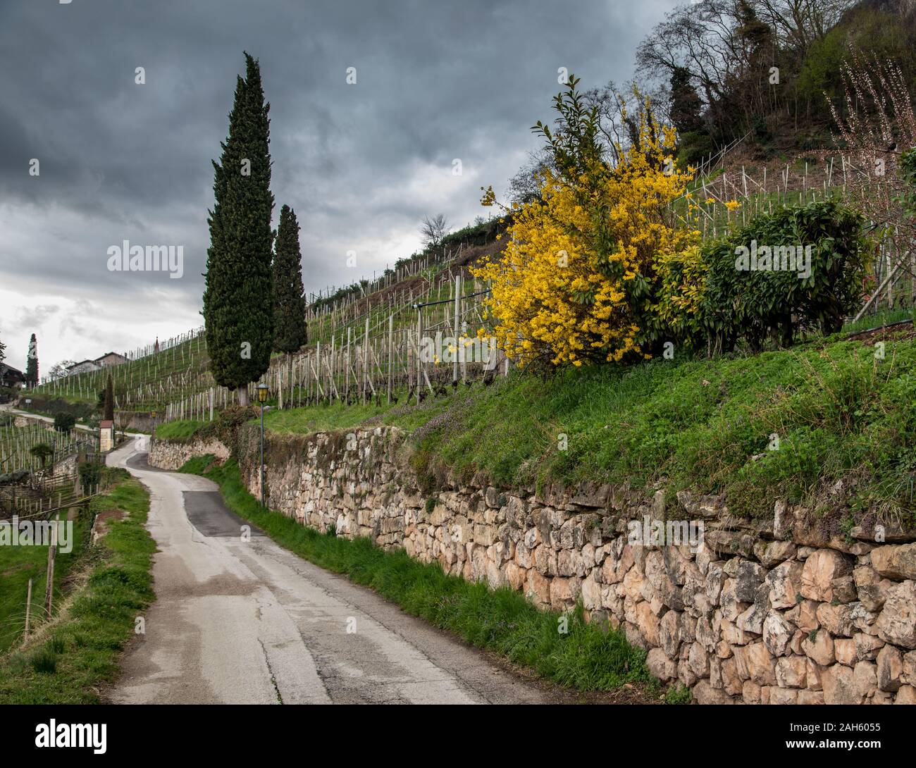 Schmale Straße in Südtirol Stockfoto