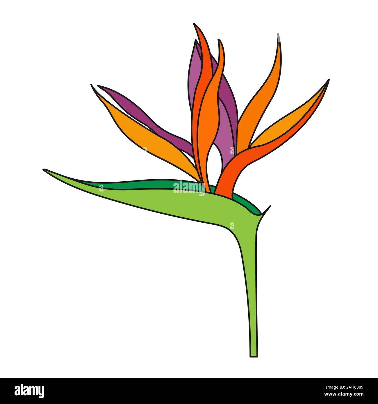 Strelitzia reginae Blume oder Bird of paradise flower. Offizielle Blume von Los Angeles. Auf weißem Hintergrund, flacher Stil Stock Vektor