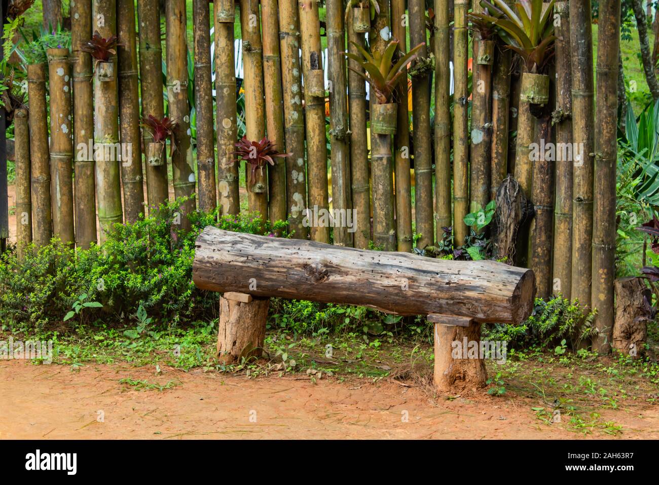 Alte hölzerne Stühle in den Gängen Stockfoto