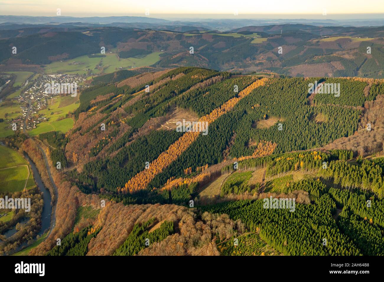 Luftbild, Waldschäden in Finnentrop, Mischwald mit Waldschäden,, Finnentrop, Sauerland, Nordrhein-Westfalen, Deutschland, DE, Europa, Vogel Stockfoto