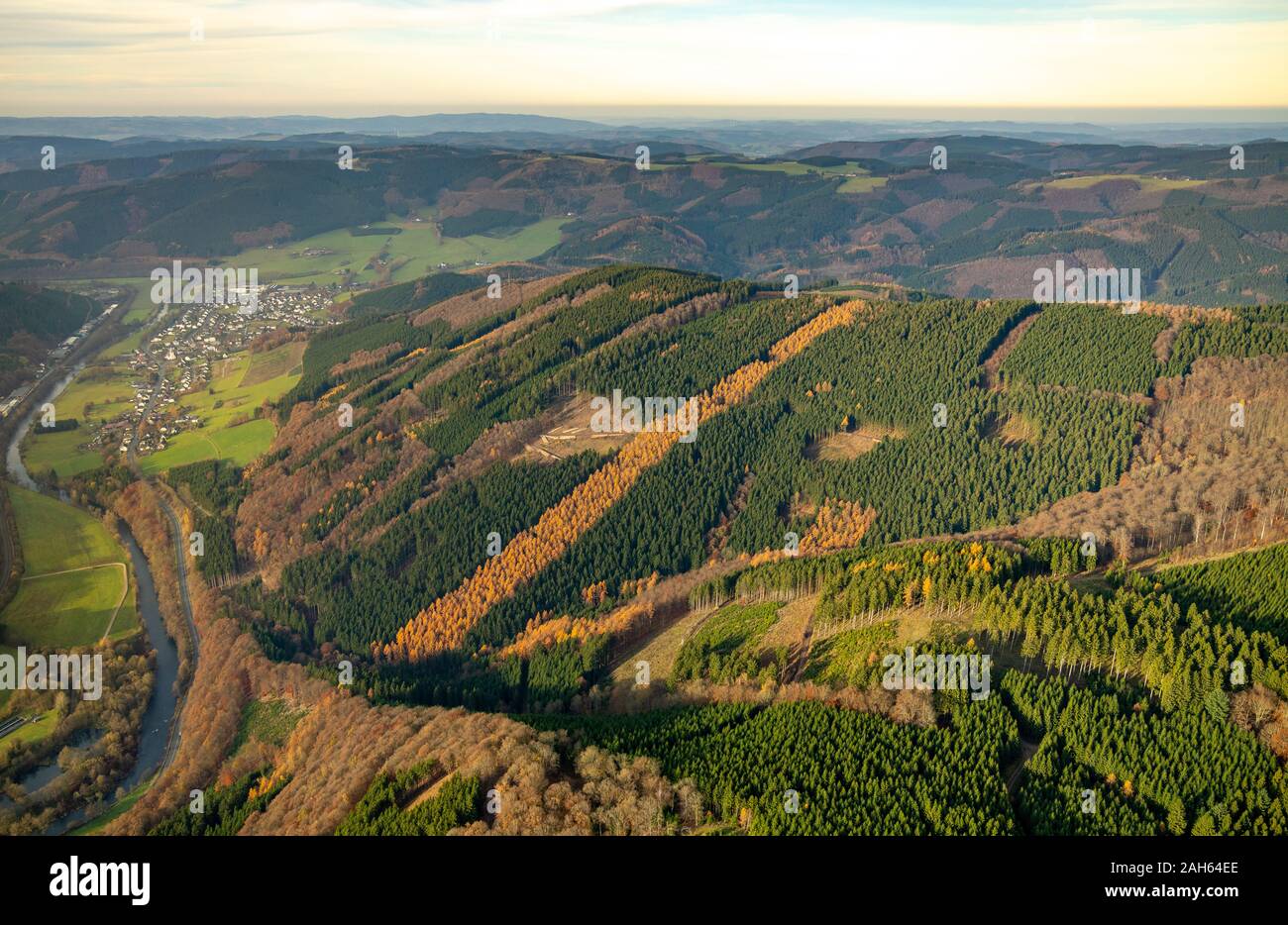 Luftbild, Waldschäden in Finnentrop, Mischwald mit Waldschäden,, Finnentrop, Sauerland, Nordrhein-Westfalen, Deutschland, DE, Europa, Vogel Stockfoto