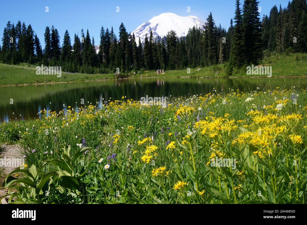 Mt. Rainier mit Wildblumen am Tipsoo-See Stockfoto