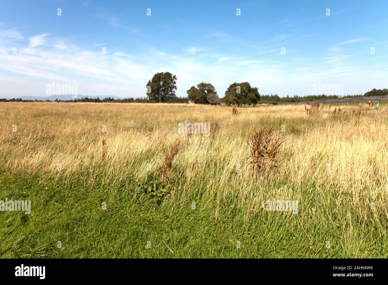 Culloden Moor, Standort der 1746 Schlacht von Culloden Moor, in dem die britischen Truppen besiegt Bonnie Prince Charlie und die Highland Clans. Beachten Sie das Dock Stockfoto