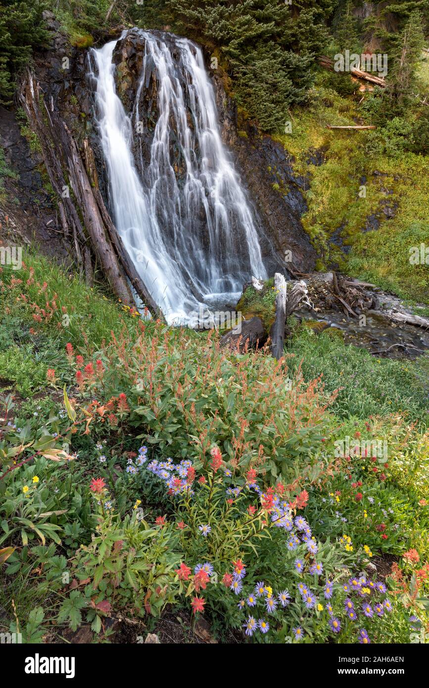 Wildblumen und Wasserfall, Wallowa Mountains, Oregon. Stockfoto