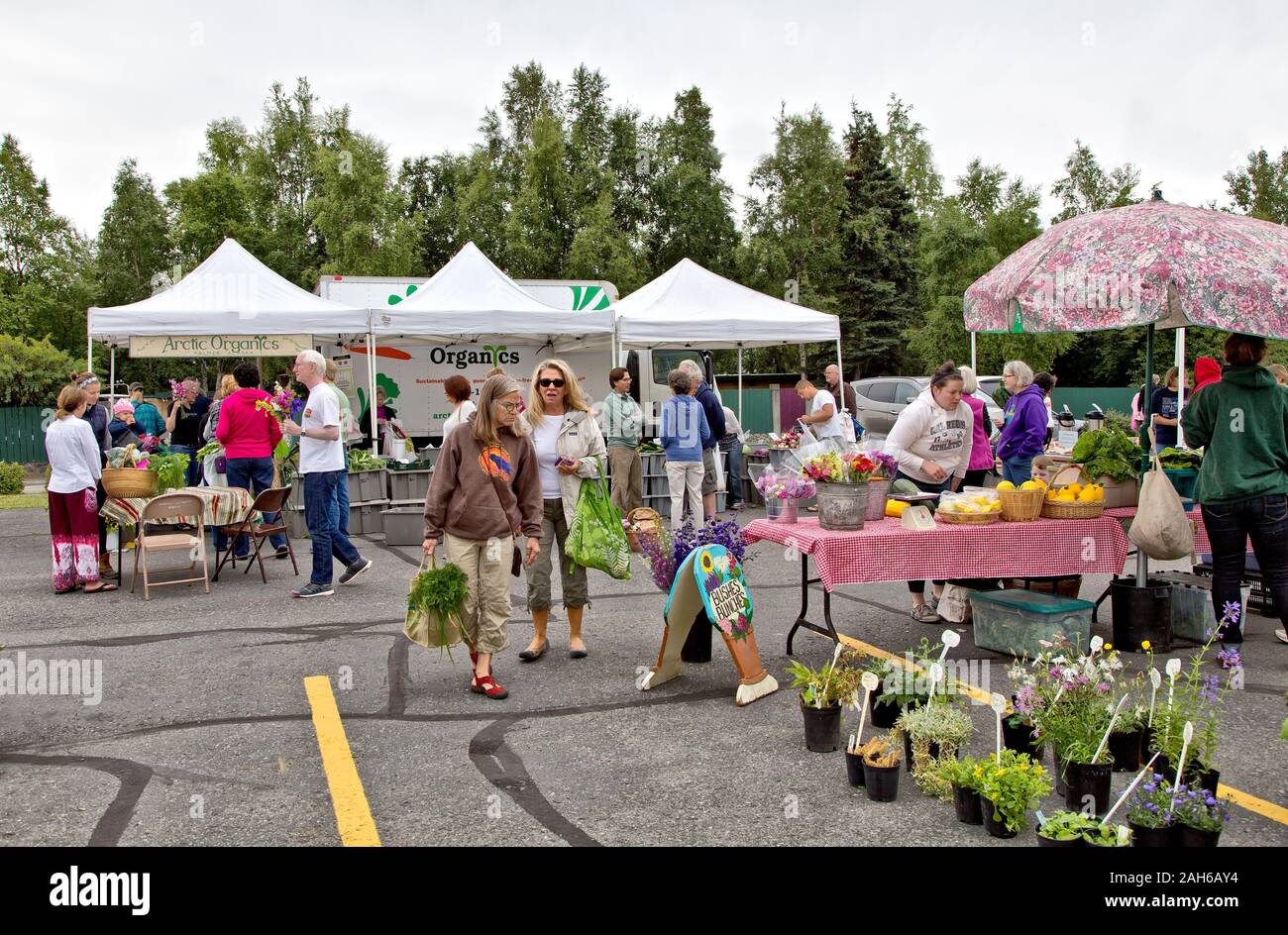 Die Anchorage Bauernmarkt, 15 Street & Cordova Ave., Leute einkaufen, Mitte August, Anchorage, Alaska. Stockfoto