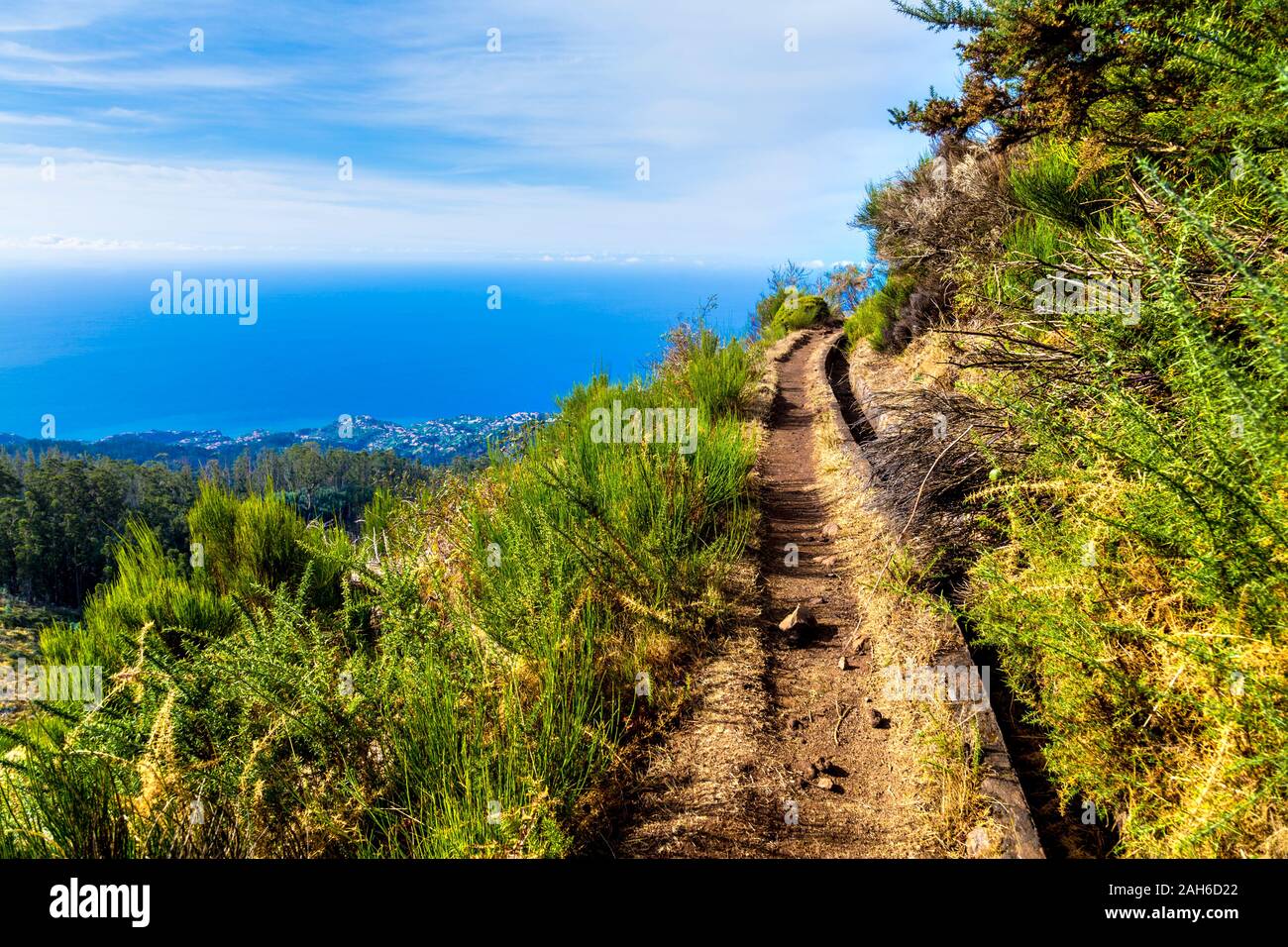 Paul da Serra levada Wanderung, Madeira, Portugal Stockfoto