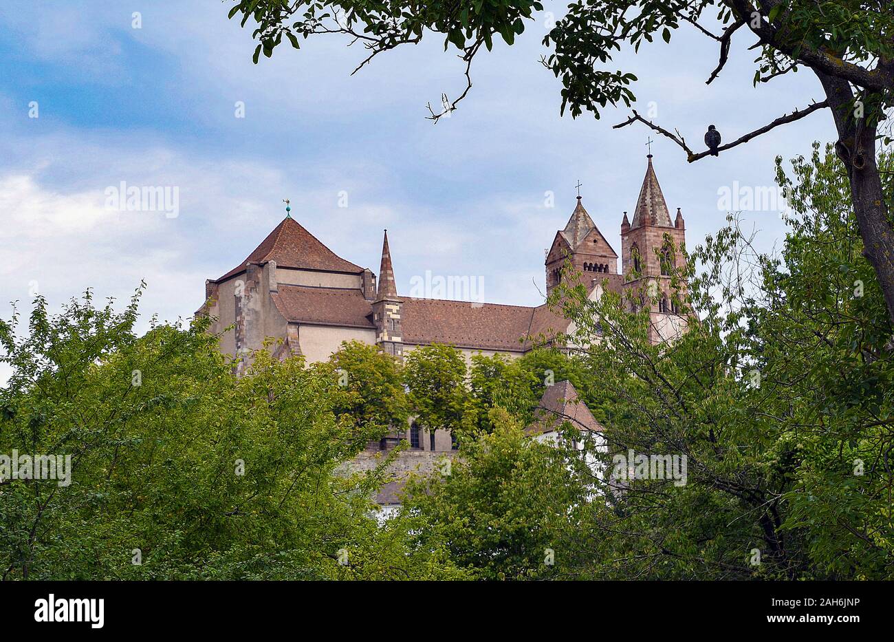 Blick auf St. Stephan's Cathedral in Breisach Deutschland Stockfoto