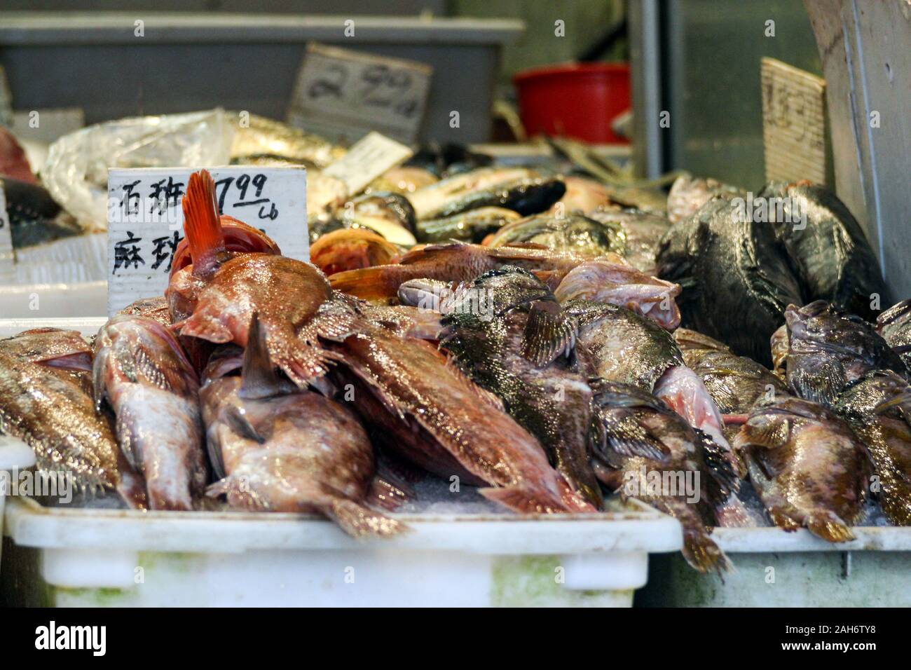 Fisch zum Verkauf auf dem chinesischen Fischmarkt in San Francisco Chinatown, Vereinigte Staaten von Amerika Stockfoto