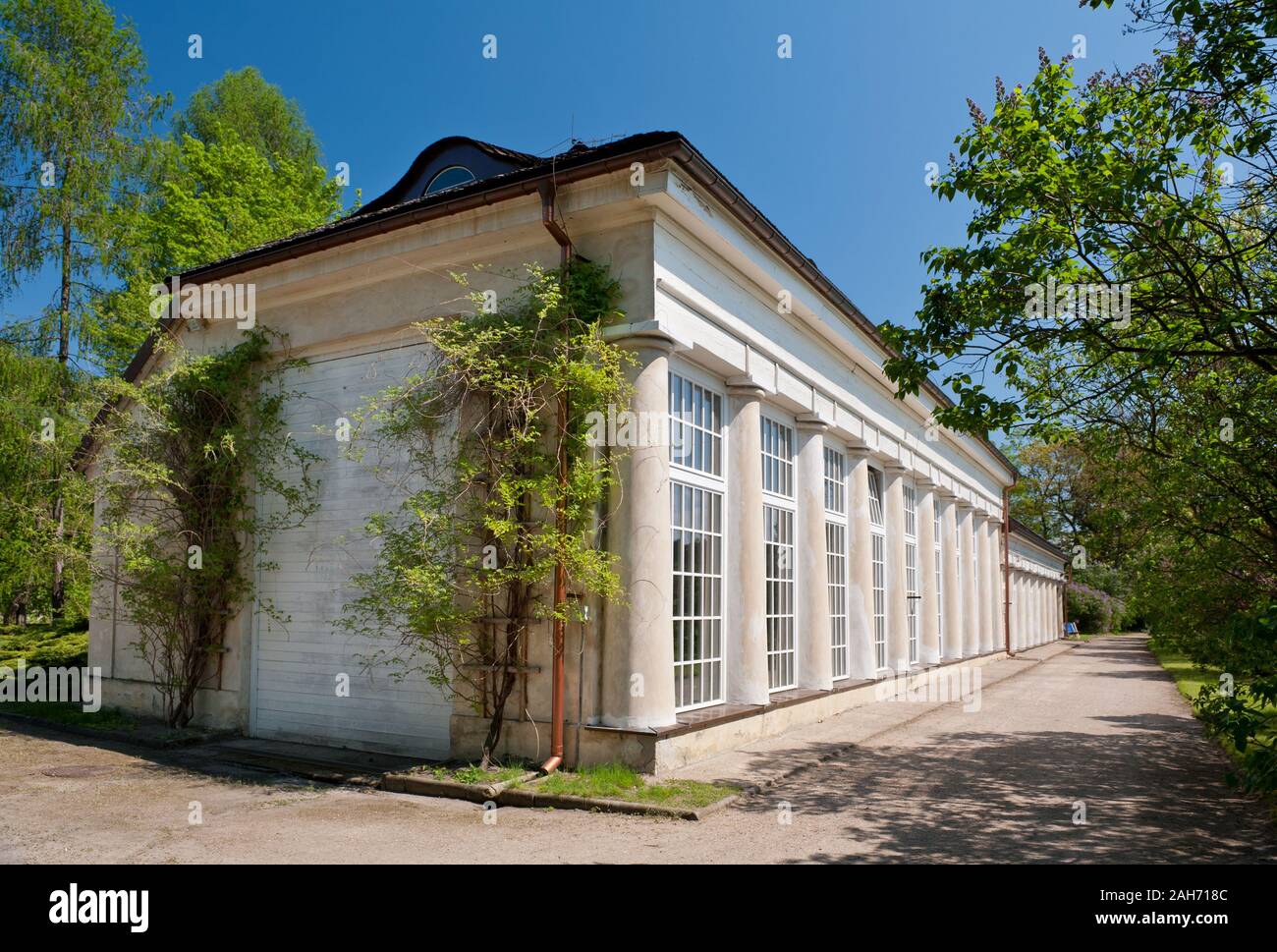 Alte Orangerie außen in Nieborów in Polen, Europa, Pflanzen wachsen in Sonnenlicht, Gebäude mit großen Fenstern in der breiten Ansicht, Besuch von touristischen Destinationen. Stockfoto