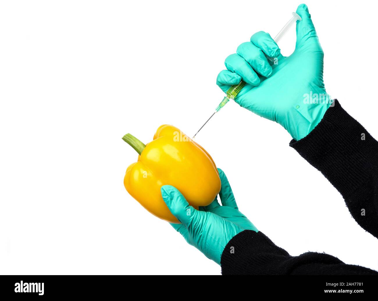 Menschliche gelb Chemikalien in gelbe Paprika eingespritzt wird, Pestizide und Düngemittel und Chemikalien mit einer Spritze. Genetisch veränderte Nahrung conc Stockfoto