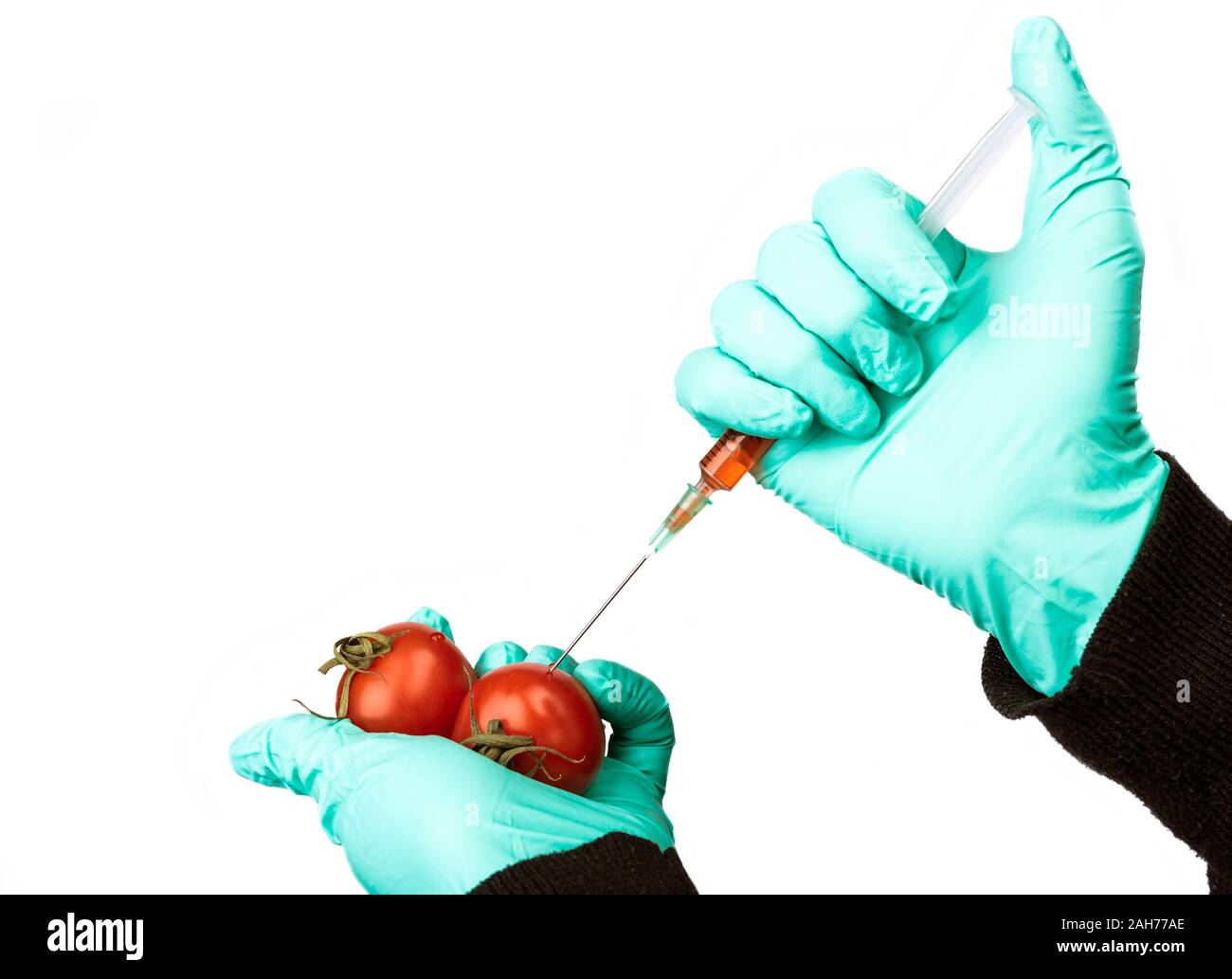 Menschliche rote Chemikalien in Cherry Tomaten, Pestizide und Düngemittel und Chemikalien mit einer Spritze injiziert wird. Genetisch veränderte Nahrung conce Stockfoto