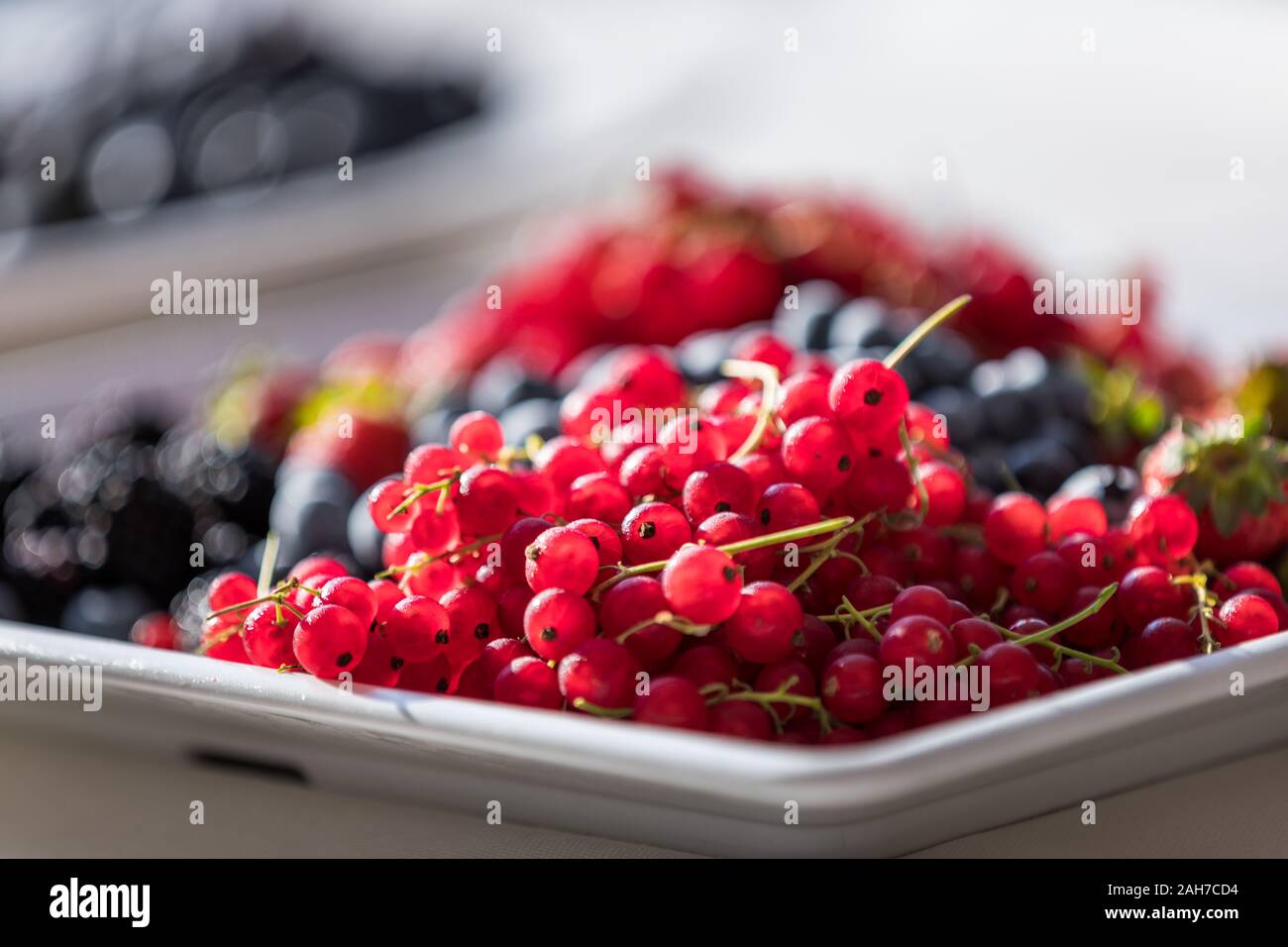 Nahaufnahme eines Tabletts mit einer gemischten Auswahl von Beeren vor Bokeh Hintergrund Stockfoto