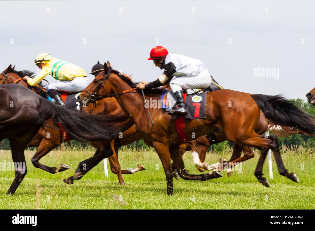 Pferde mit Jockey während Derby Rennen Stockfoto