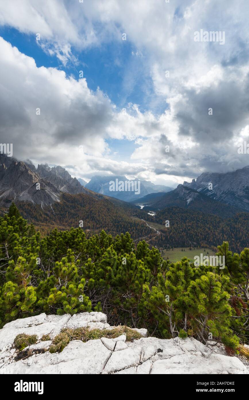 Ikonische italienische herbstliche Berglandschaft, mit einem felsigen Felsvorsprung und Pinienwald im Vordergrund, und einem entfernten Berge im Hintergrund Stockfoto