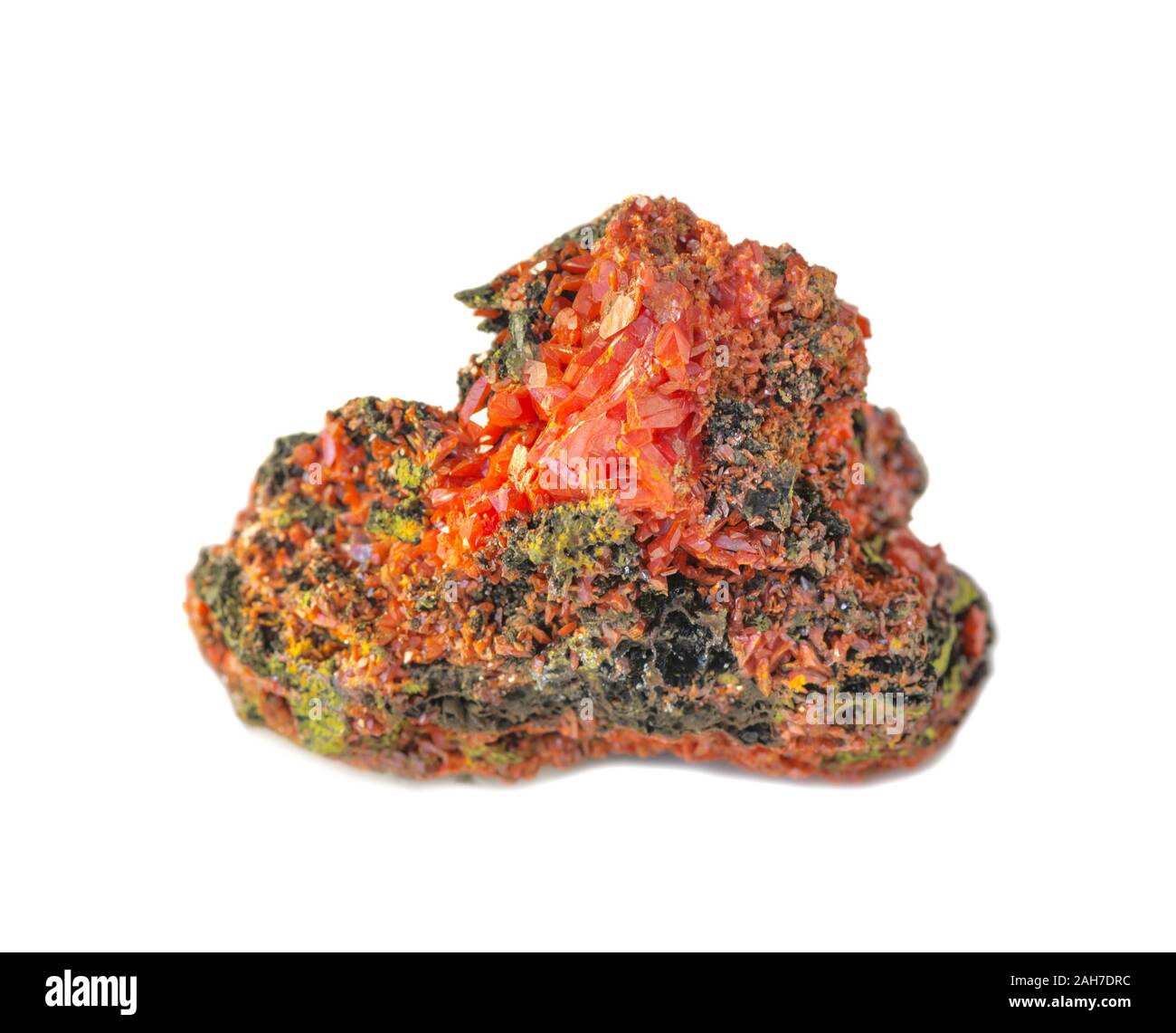Seltene, leuchtend orange Kristalle von crocoite auf die Matrix aus dem Ural, Mineral, bestehend aus bleichromat, auf weißem Hintergrund Stockfoto