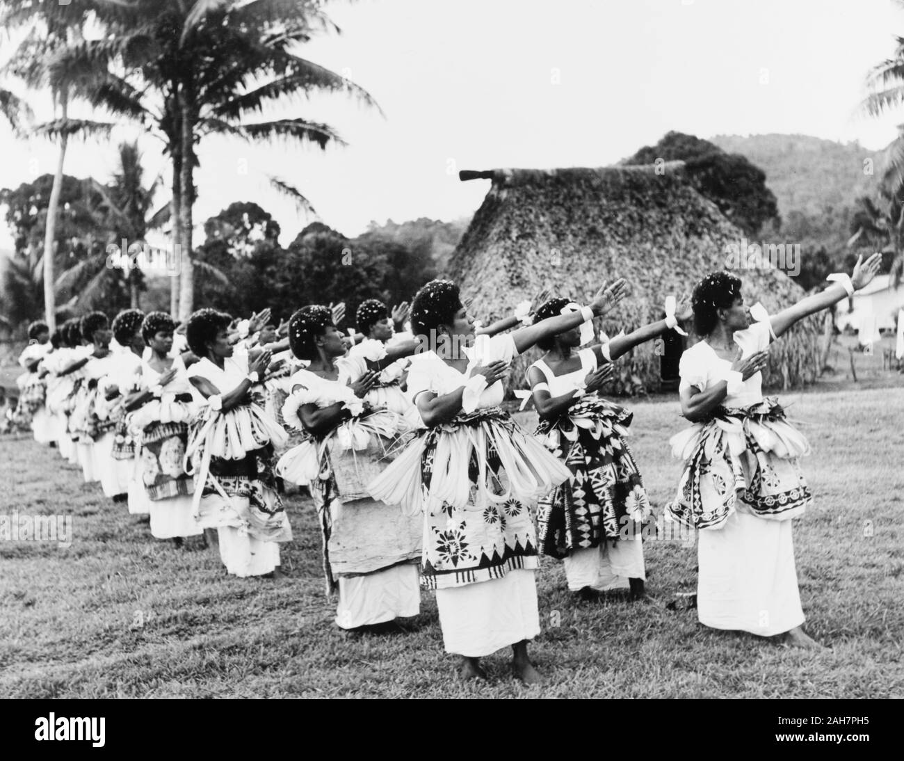 Fiji, Fidschi Tänzer an NasilaiA große Gruppe der fidschianischen Frauen führen Sie einen traditionellen Tanz im Freien. In den zeremoniellen Kostüm einschließlich TIERED "Asi" (BARK CLOTH) Röcke, sie tanzen in Ausbildung, die ihre Köpfe drehen und strecken ihre Arme zur Seite. , 1965. 2005/010/1/14/89. Stockfoto