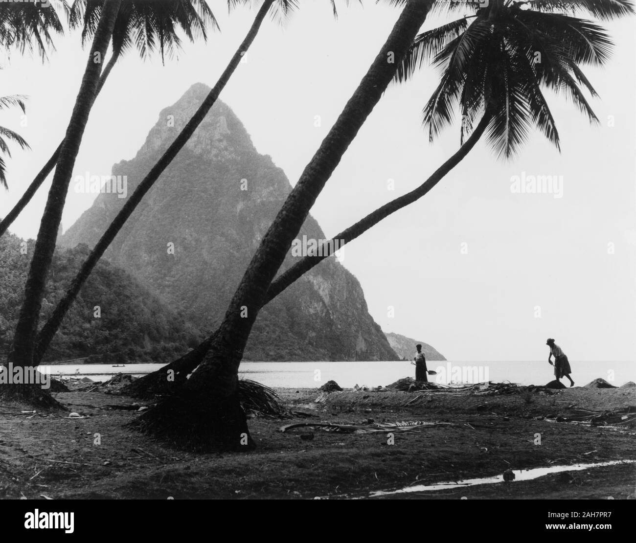 St Lucia, die Pitons, St Lucia. Eine der Pitons steigt von der Küste von St. Lucia, hinter einem Strand von Silhouette Palmen. St. Lucia, 1965. Bildunterschrift liest 'LES PITONS - Die MALERISCHSTEN Wahrzeichen von St. Lucia.', 1965. 2005/010/1/13/37. Stockfoto