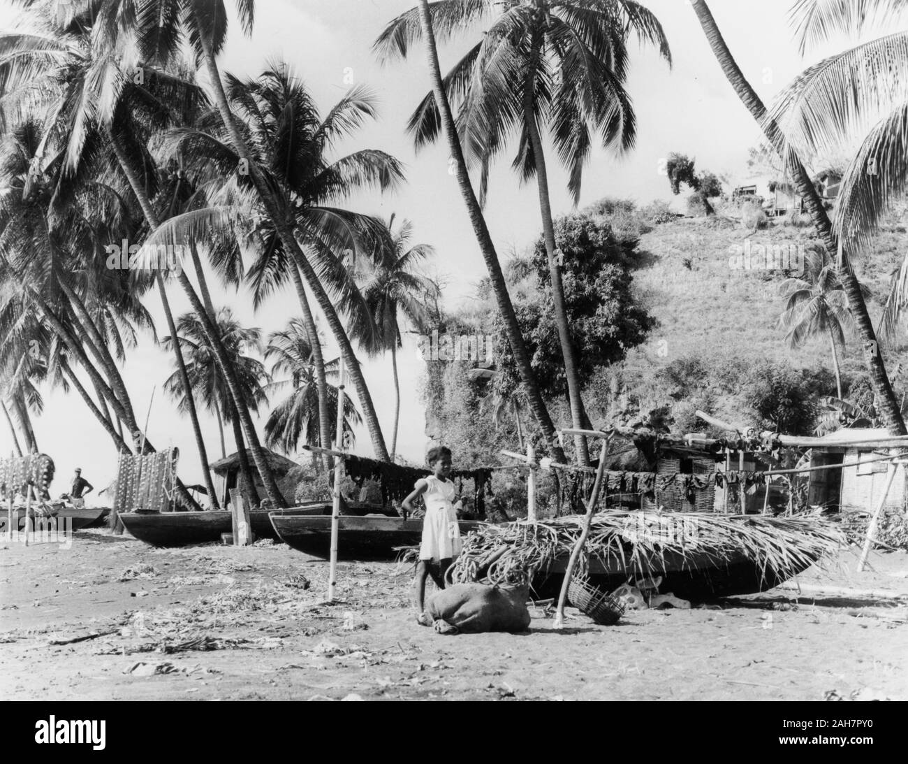 St. Vincent, Angeln Strand in St Vincent Fischerboote ausruhen unter Palmen an einem Sandstrand in St. Vincent. St. Vincent, 1965, 1965. 2005/010/1/13/65. Stockfoto