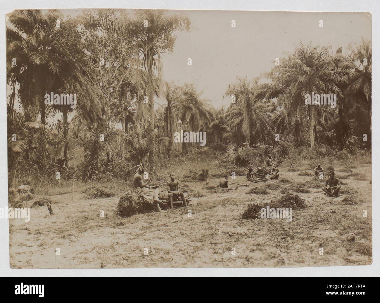 Nigeria, Figuren in einer Lichtung, umgeben von Palmen, [1900]. 2003/174/1/44. Stockfoto