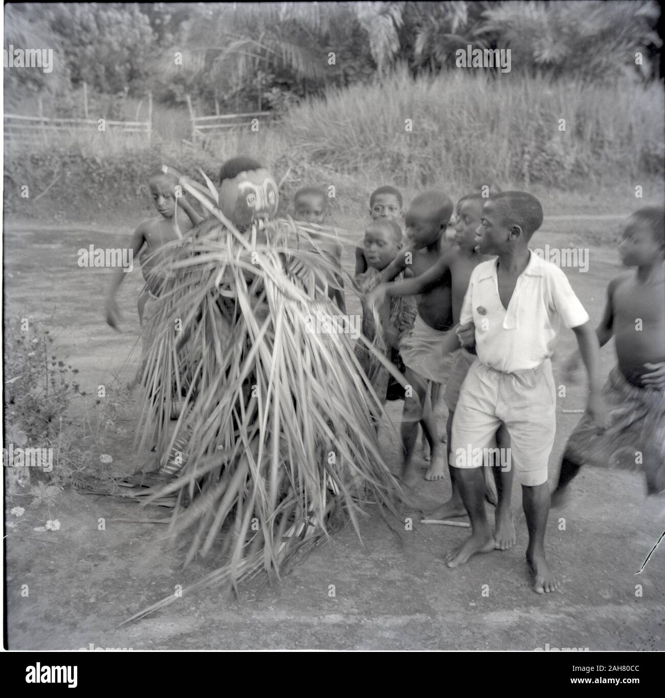 Kamerun, Ruel Sammlung: dancersJune BanyangBoys Gesellschaft, 1954, Juni 1954. 2012/001/6/7/AO 3. Stockfoto