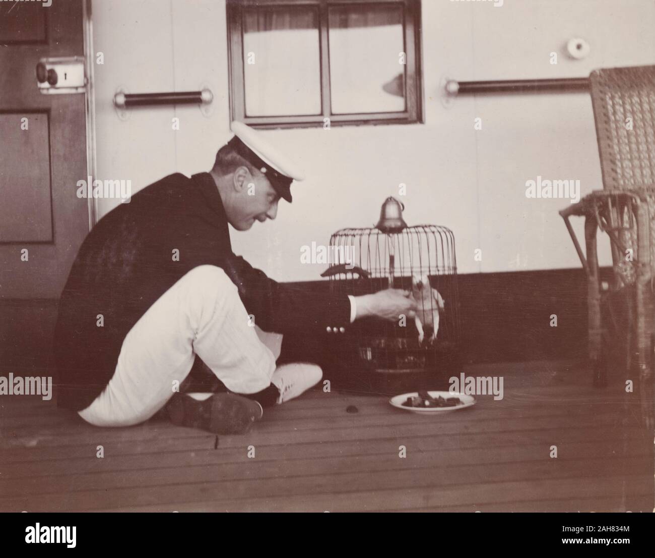 Ein britischer Marineoffizier sitzt im Schneidersitz auf dem Deck der SS Balmoral Castle, wie er Feeds ein Papagei durch die Gitterstäbe seines Käfigs, 1910. 1995/076/1/4/1/128. Stockfoto