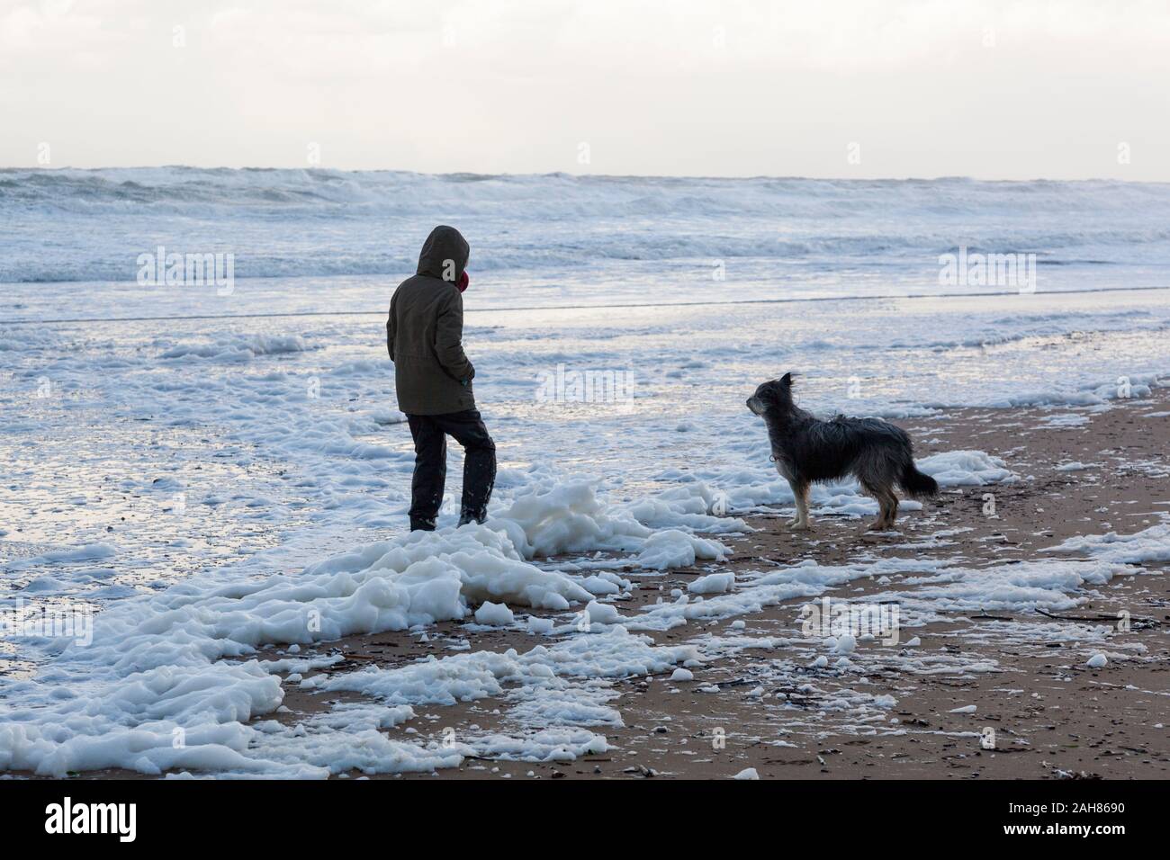 Mensch und Hund auf einem verschmutzten Strand Stockfoto