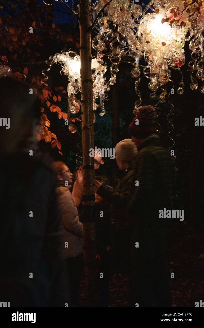 Menschen zu Fuß unter dem beleuchteten Bäume während der Lumiere Festival 2019 Stockfoto