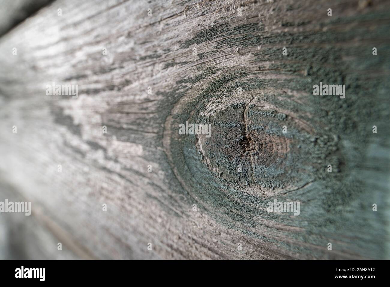 Ultra Wide Makro Nahaufnahme von Holz Knoten in einer Planke von verwittertes Holz. Abstrakte Holz Textur. Stockfoto