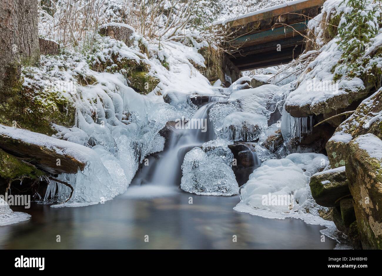 Weitwinkelansicht der Winterlandschaft, mit einem kleinen Wasserfall, der zwischen eisbedeckten Felsen und in einen kristallklaren Teich fließt, umgeben von Pinien Stockfoto