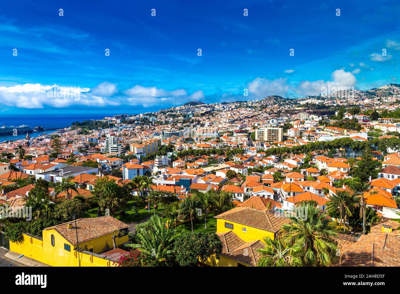 Blick auf die Häuser in Funchal, Madeira, Portugal Stockfoto