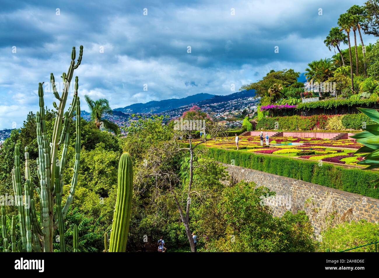 Der botanische Garten (Jardim Botânico da Madeira), Madeira, Portugal Stockfoto